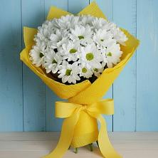 Букет цветов из:  Хризантемы в Красном Яре Омской области