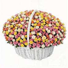 Премиум букет из: Розы #REPLACE_PRED# Красном Яре Омской области