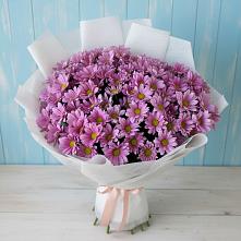 Букет цветов из:  Хризантемы в Красном Яре Омской области