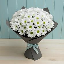 Букет цветов из:  Хризантемы в Красном Яре Омской области